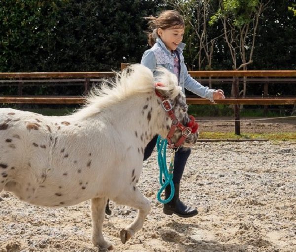 Kwetsbare kinderen leren van en met paarden